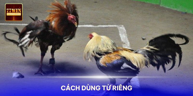 Giới nuôi gà chọi chuyên nghiệp có cách dùng từ riêng